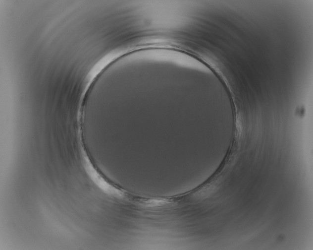 X0000111911482200908241015