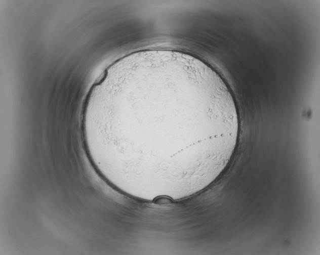 X0000111911483200908241015