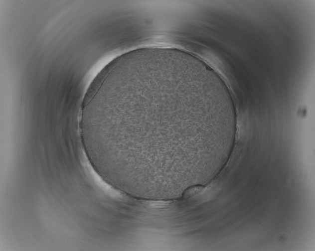 X0000111911484200908241015