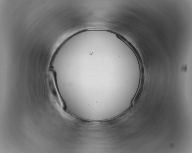 X0000111911485200908241015