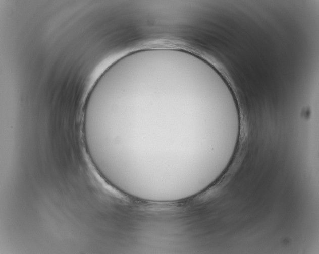X0000111911486200908241015