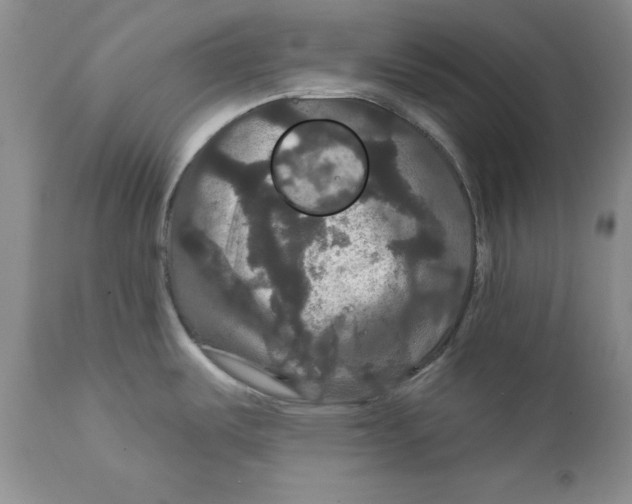 X0000111911487200908241015