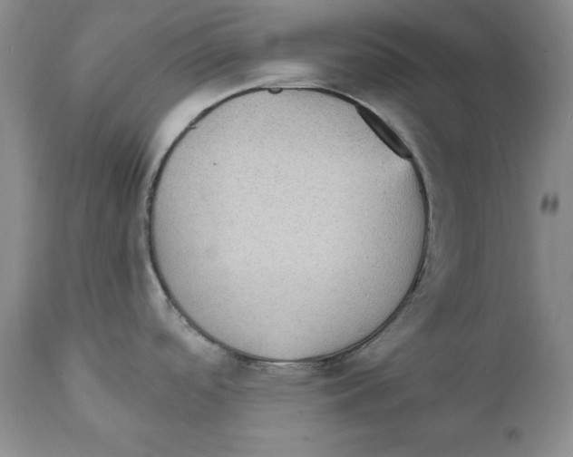 X0000111911488200908241015