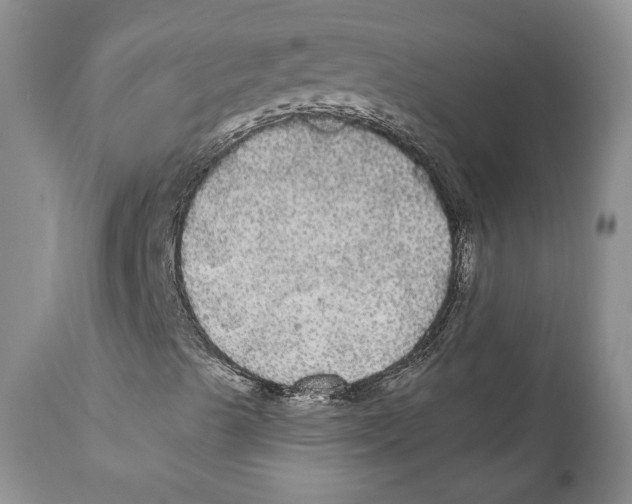 X0000111911489200908241014