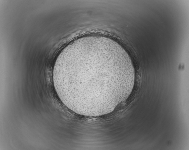 X0000111911490200908241014