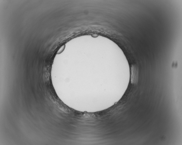 X0000111911491200908241014