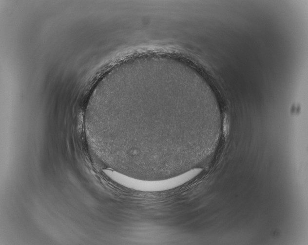 X0000111911492200908241014