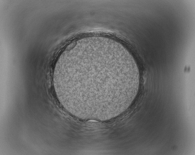 X0000111911493200908241014