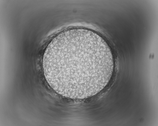 X0000111911494200908241014