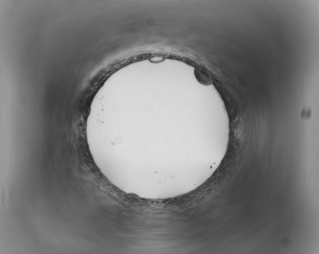 X0000111911495200908241014