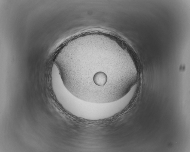 X0000111911496200908241014