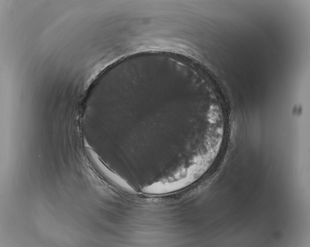 X0000111911497200908241014