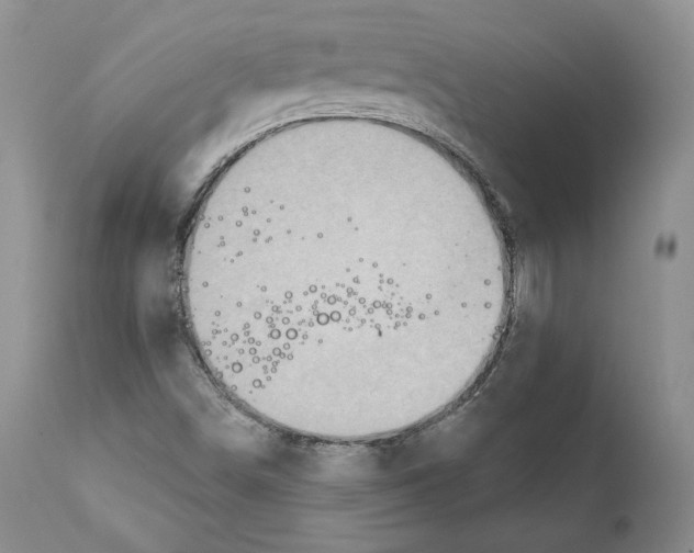 X0000111911498200908241014