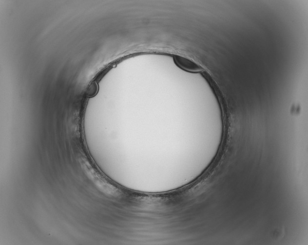 X0000111911499200908241014