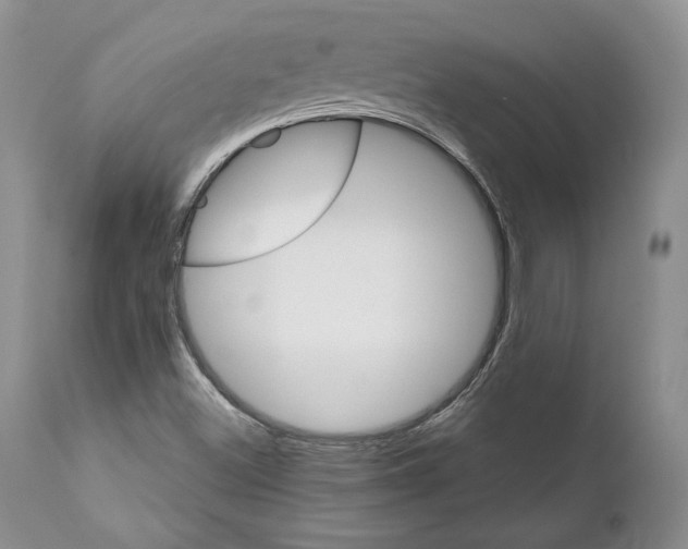 X0000111911500200908241014