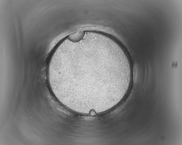 X0000111911501200908241014