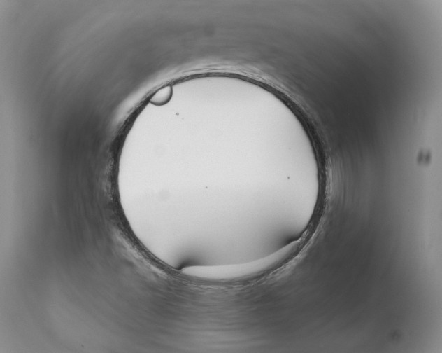 X0000111911502200908241014
