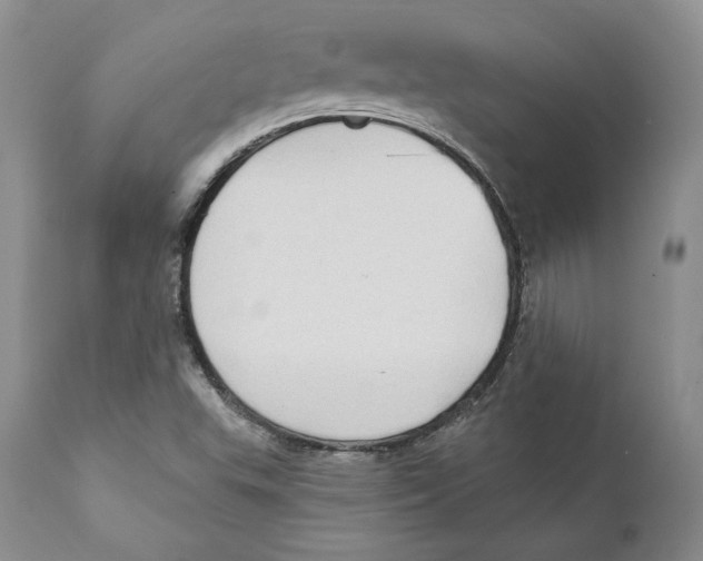 X0000111911503200908241014