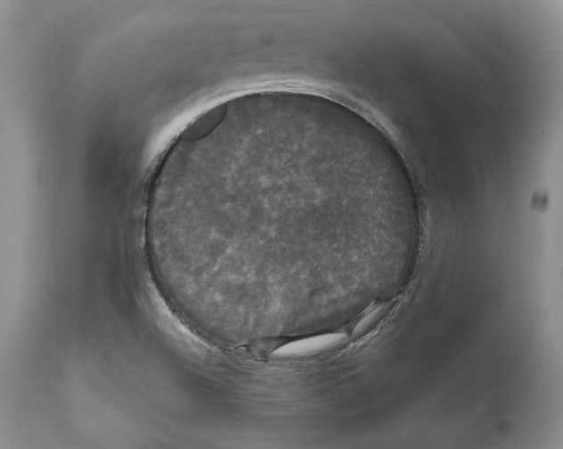 X0000111911504200908241014
