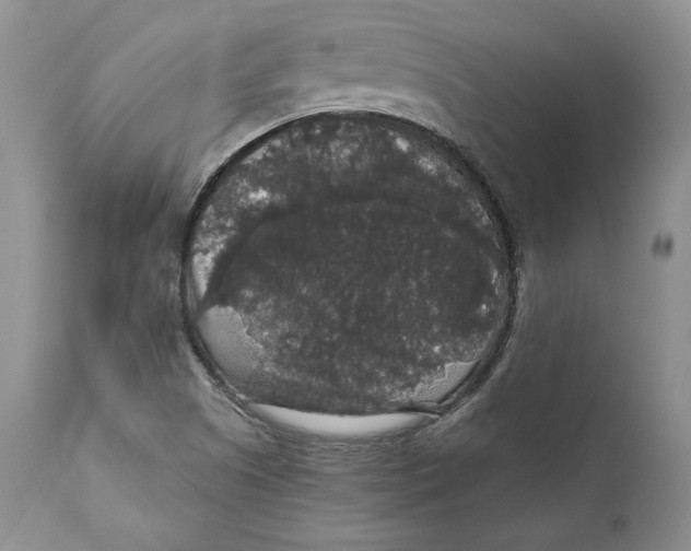 X0000111911505200908241014