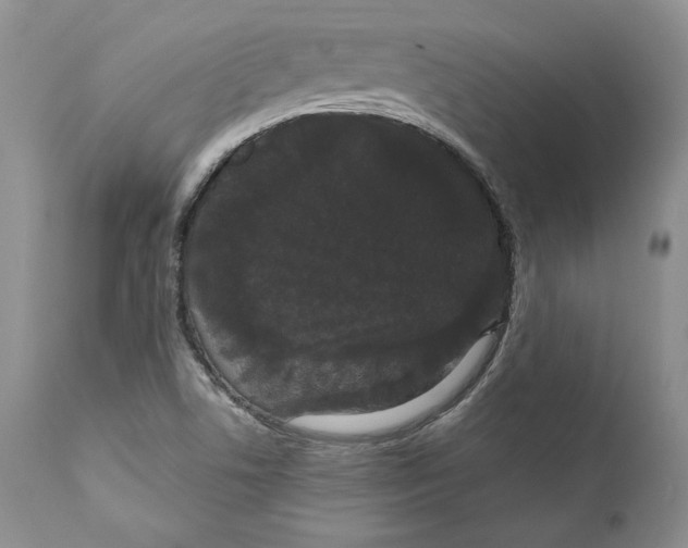 X0000111911506200908241014