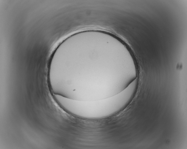 X0000111911508200908241014