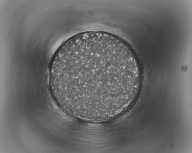 X0000111911509200908241014
