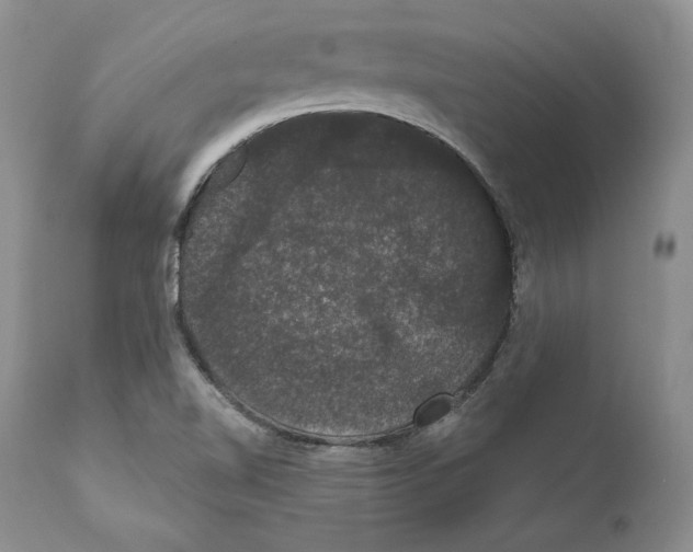 X0000111911510200908241014