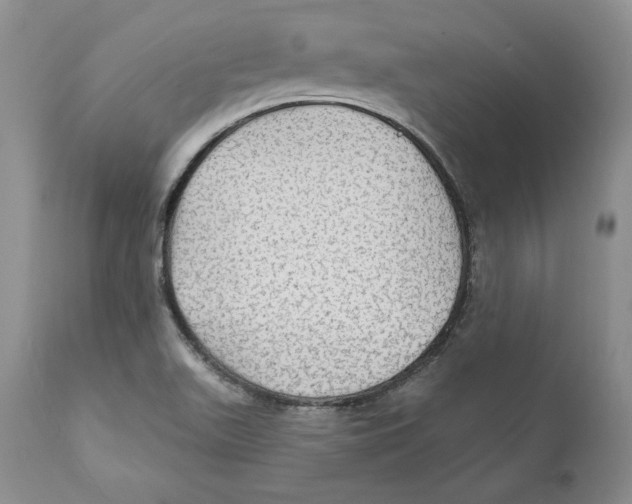 X0000111911511200908241014