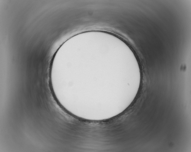 X0000111911512200908241014