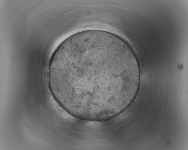 X0000111911514200908241014