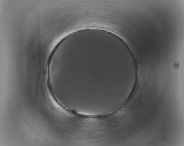 X0000111911515200908241014