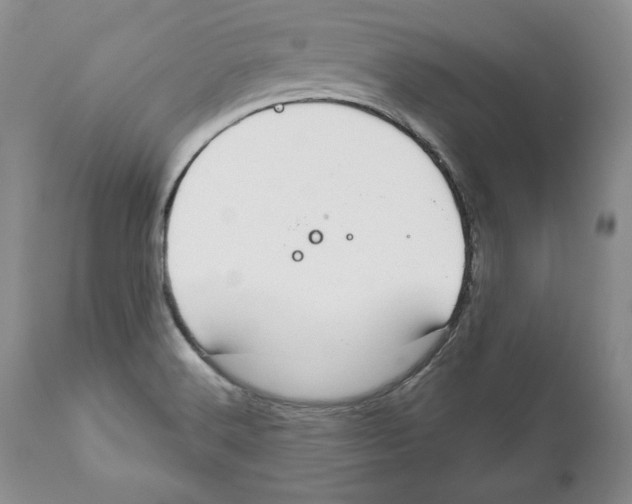 X0000111911516200908241014