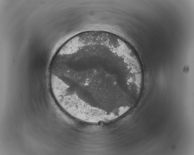 X0000111911517200908241014