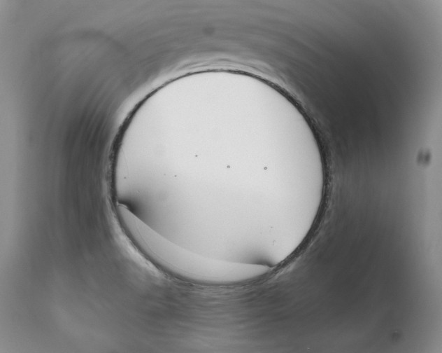 X0000111911518200908241014