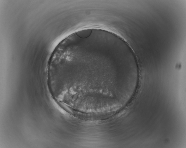 X0000111911519200908241014