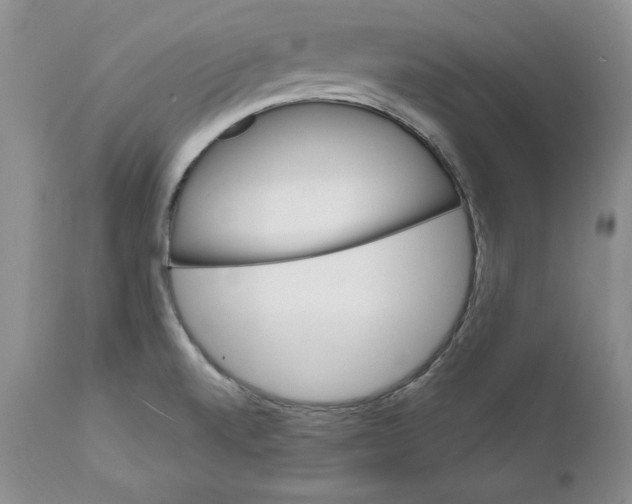 X0000111911520200908241014