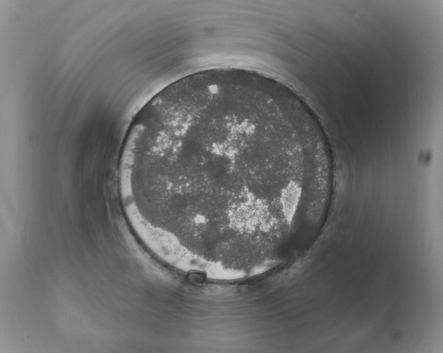 X0000111911521200908241014