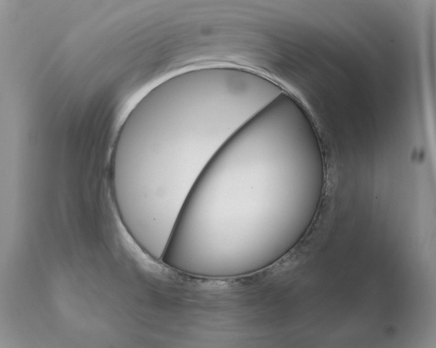 X0000111911524200908241014