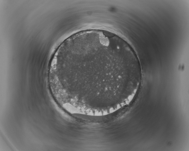 X0000111911525200908241014