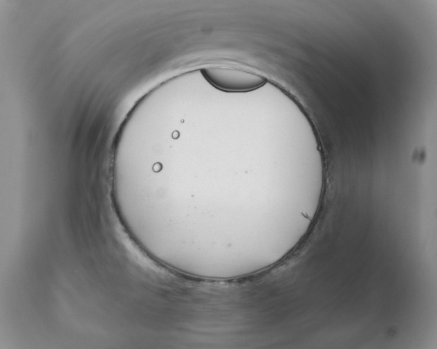 X0000111911526200908241014