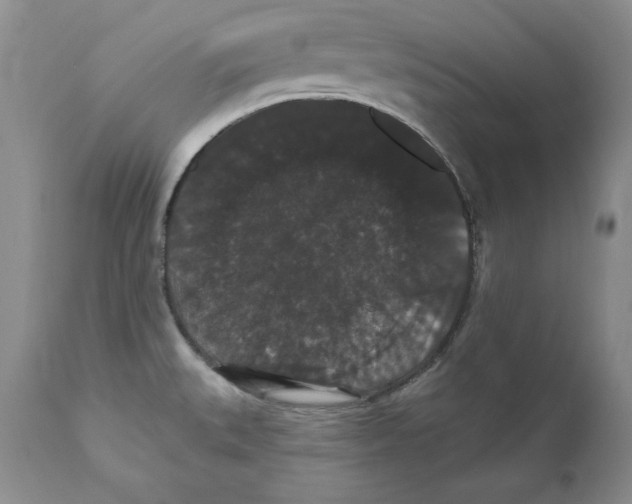 X0000111911527200908241015