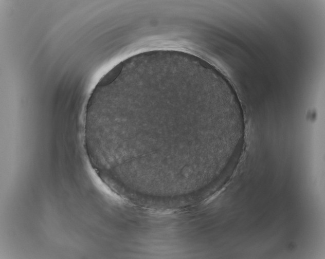 X0000111911528200908241015