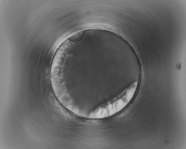 X0000111911529200908241015