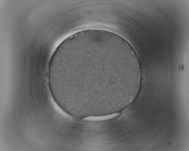 X0000111911531200908241015