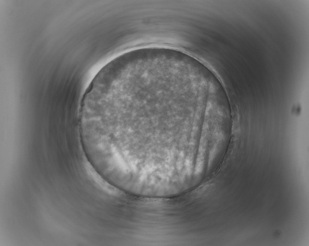 X0000111911532200908241015