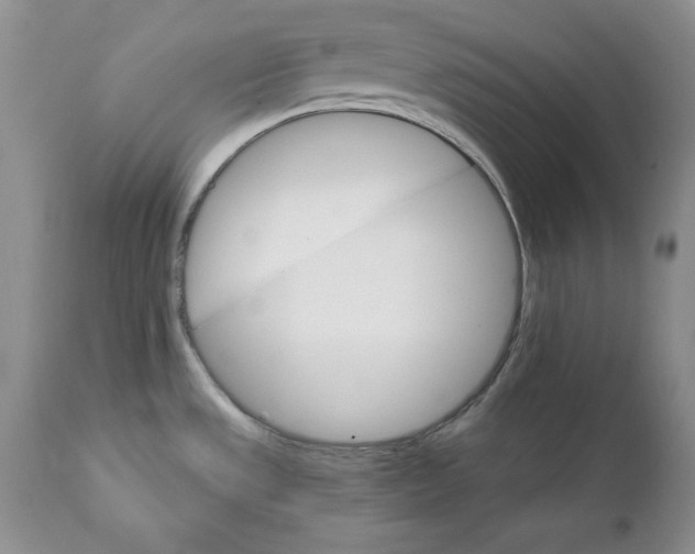 X0000111911533200908241015