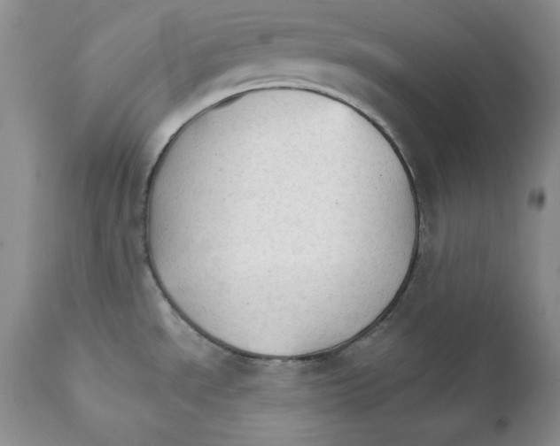 X0000111911534200908241015