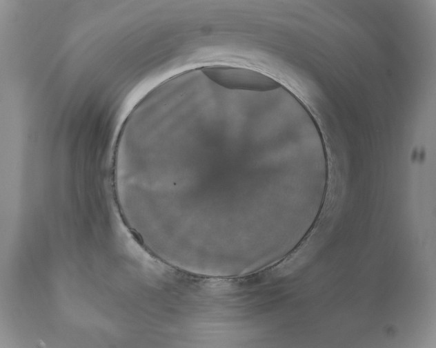 X0000111911536200908241015