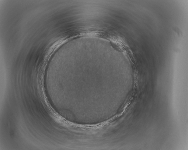 X0000111910001200909071206